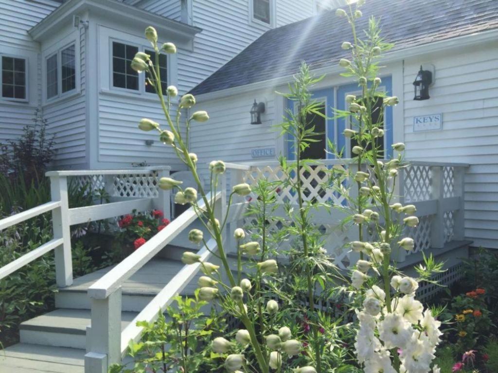 2 River Road Inn Cottages Cape Neddick Exteriér fotografie
